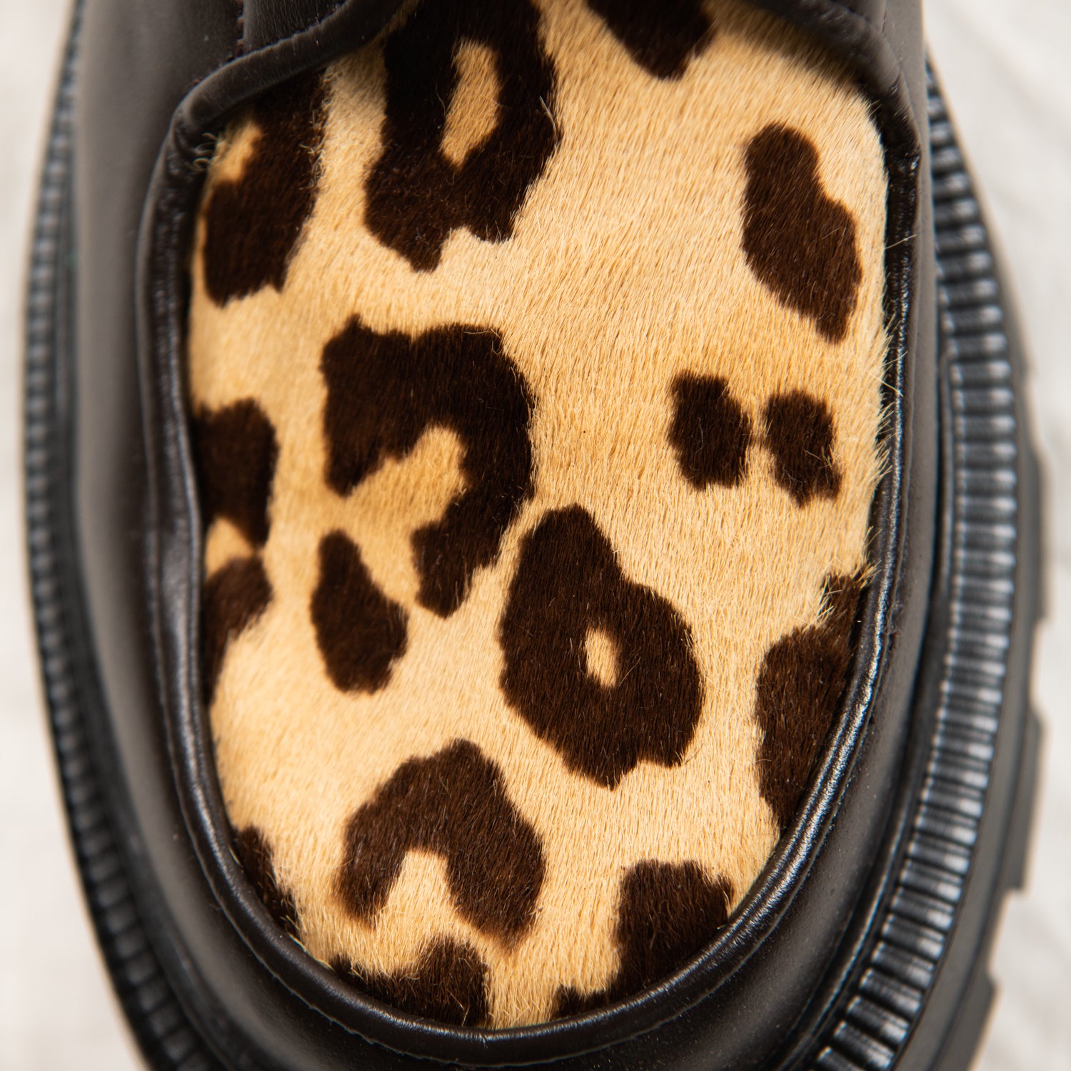 Smoked Leopard