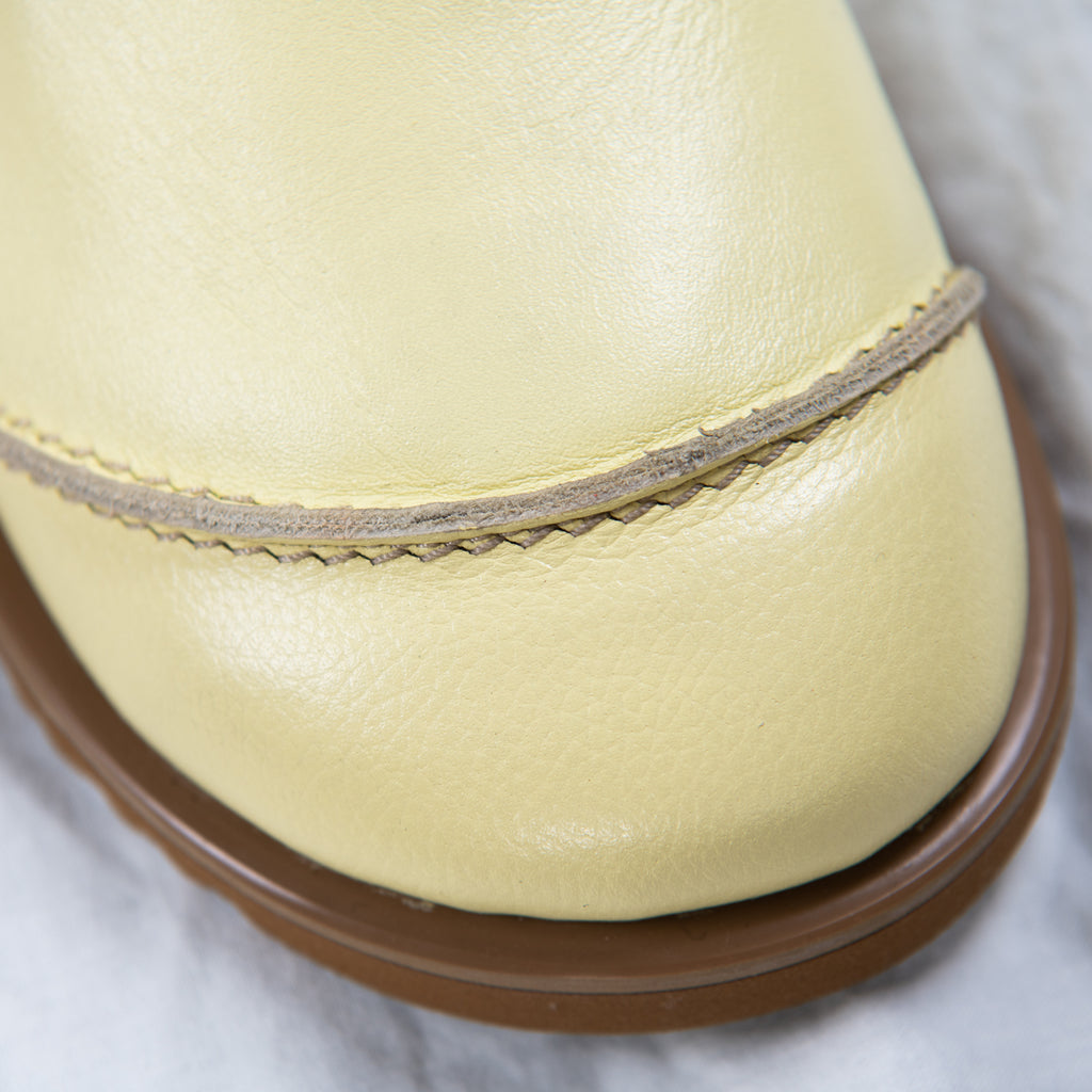 Butterroot  Barefoot