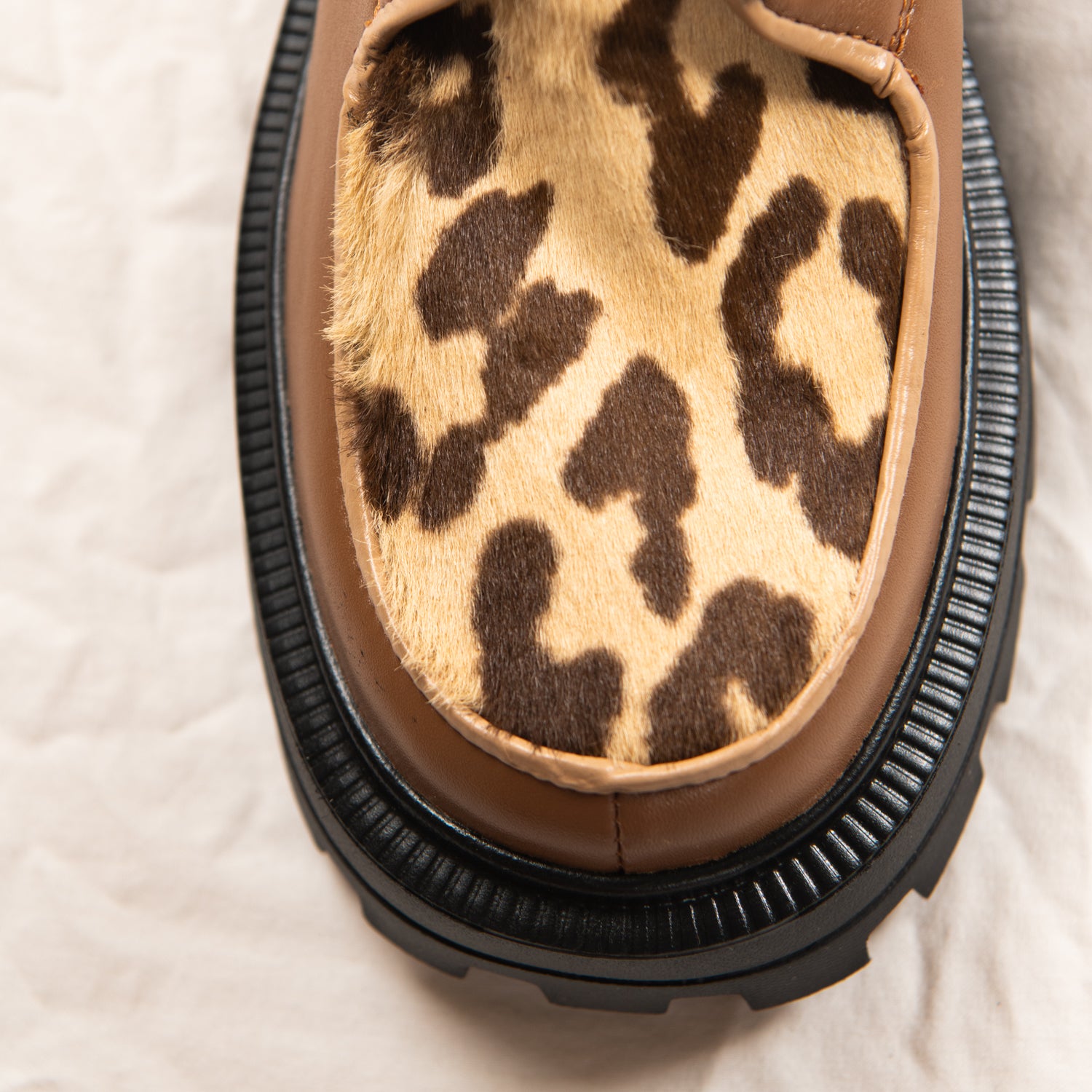 Toffee Leopard