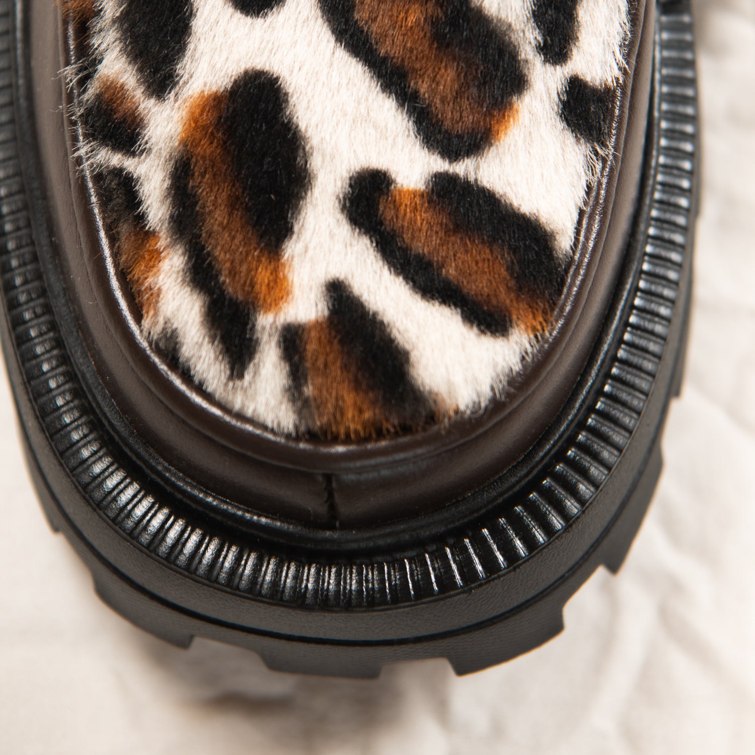 Midnight Safari II