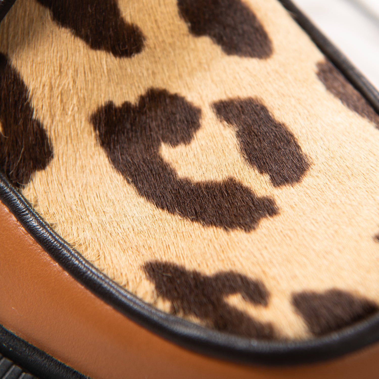 Toffee Leopard II - (brown piping)