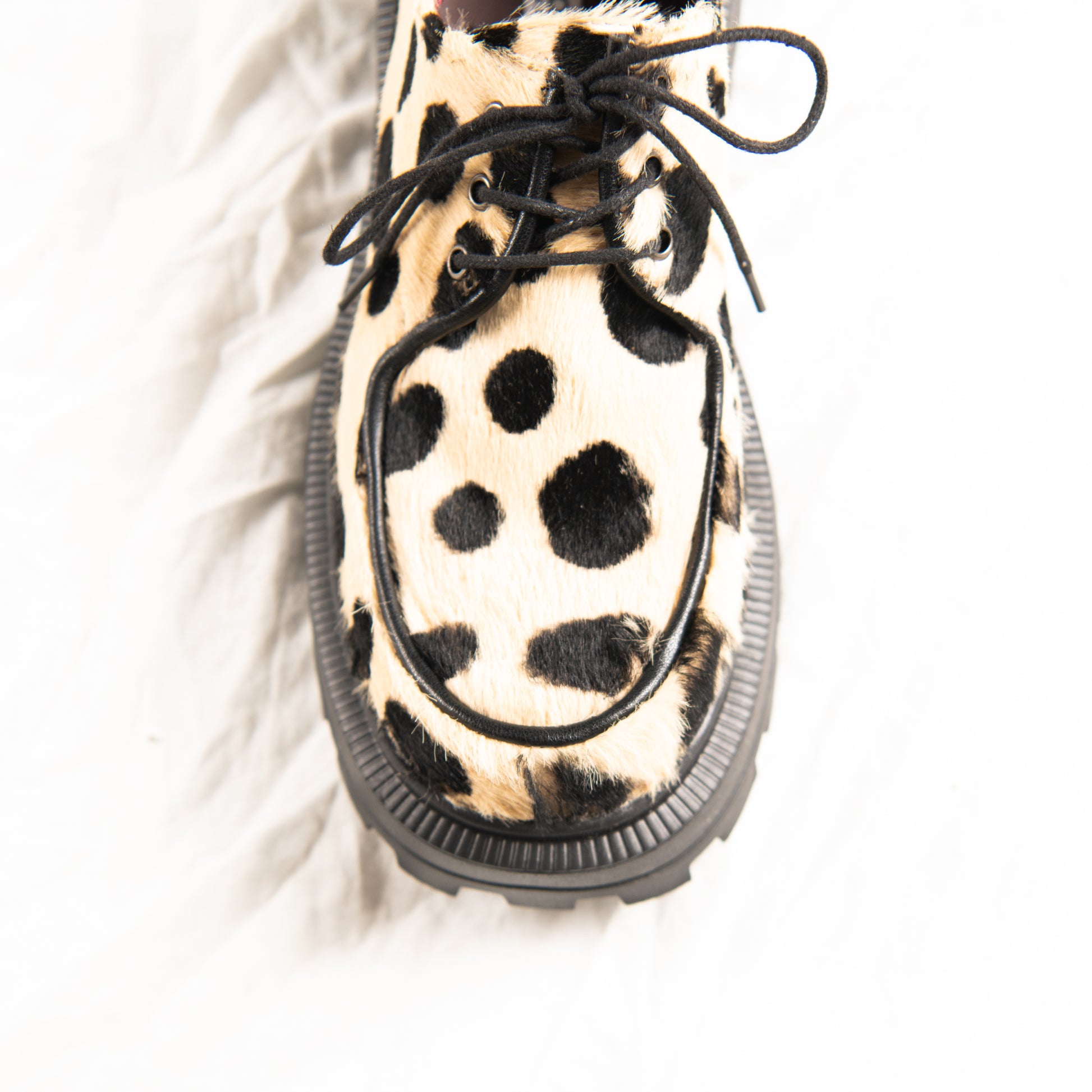 Wild Spot
