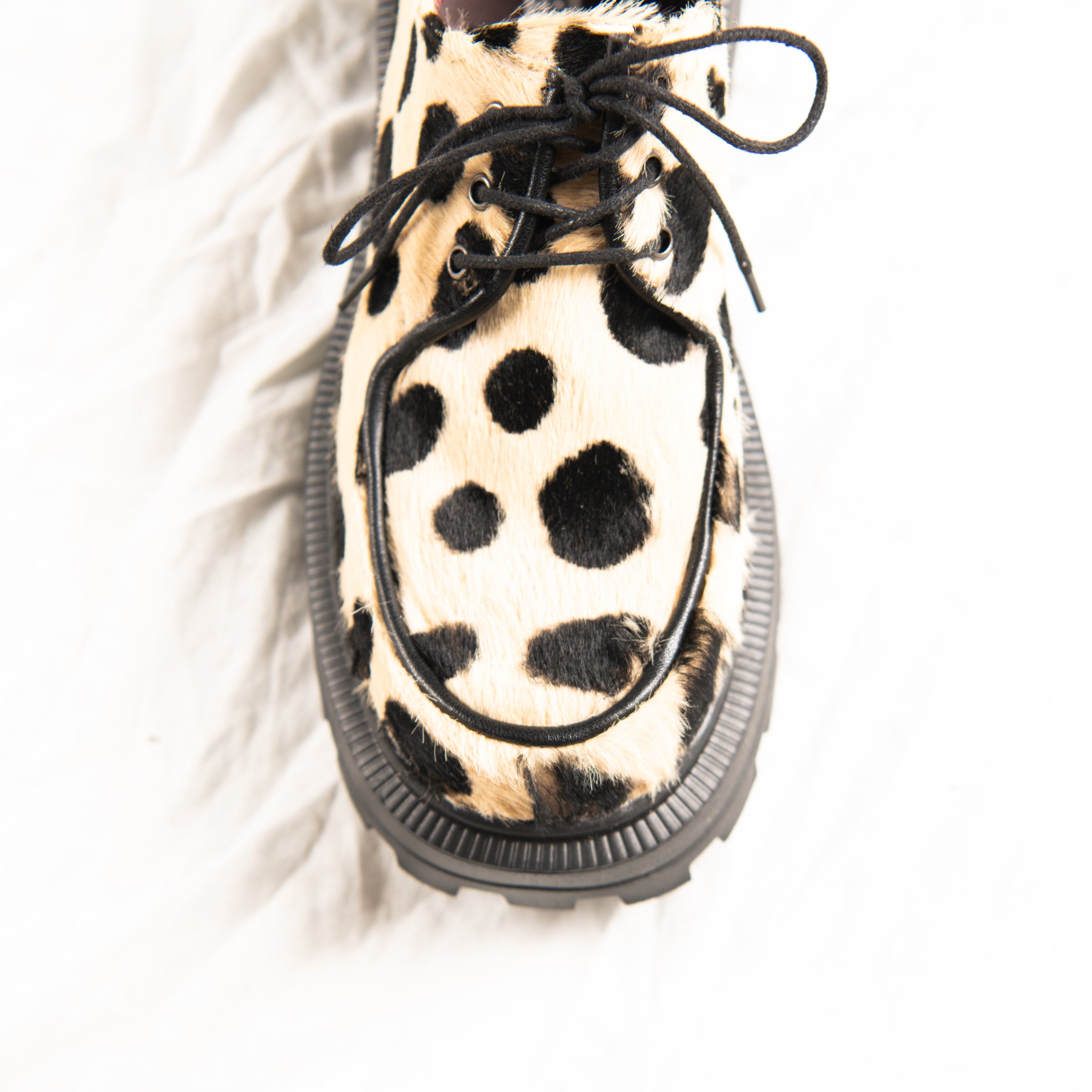 Wild Spot