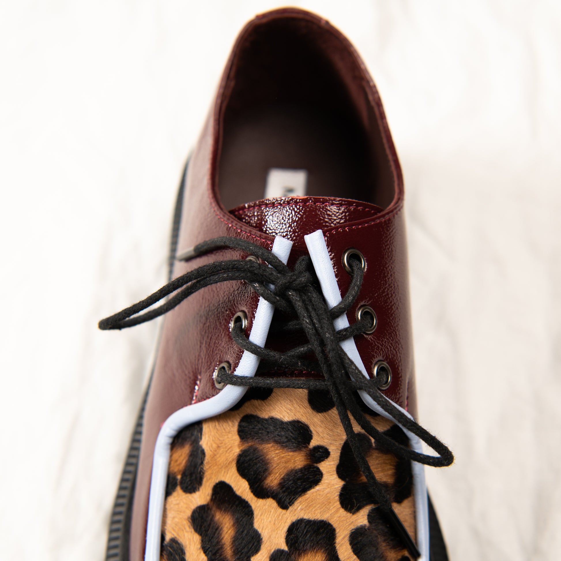 Panthera Pop