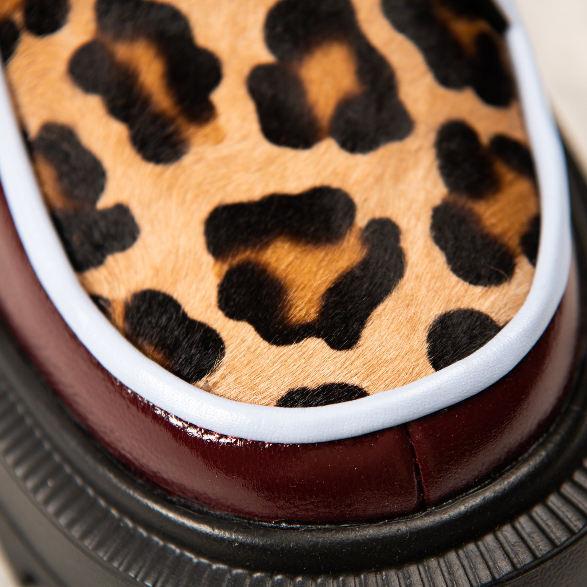 Panthera Pop
