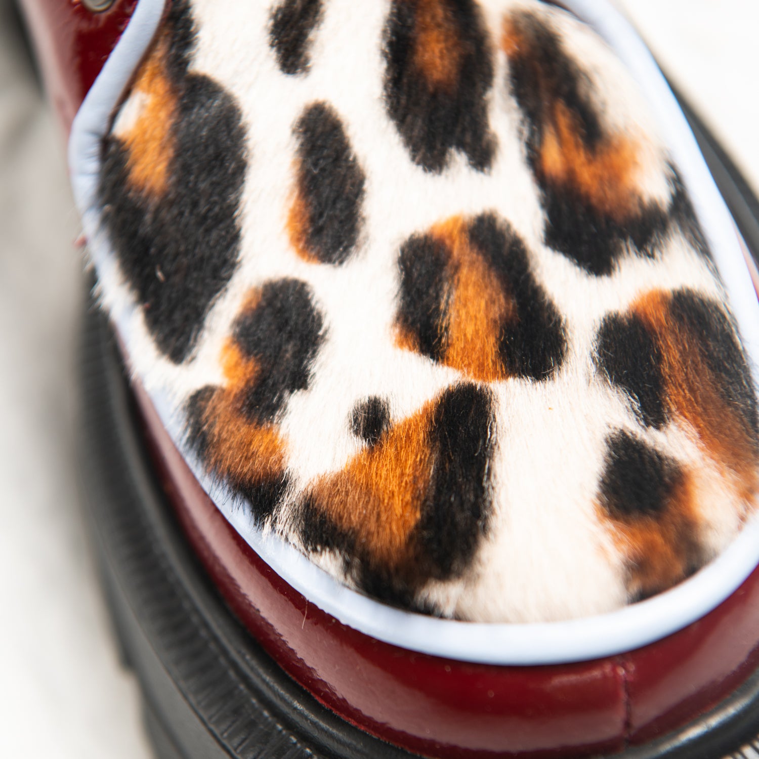 Panthera Pop II